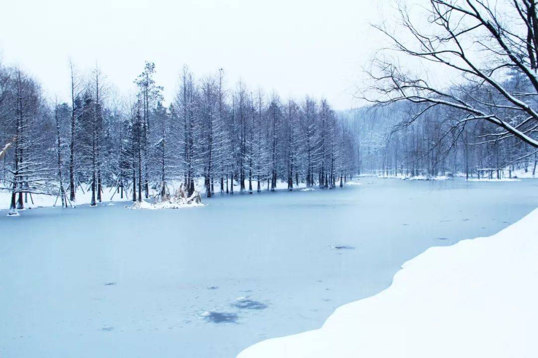 冬天的诗（8首最著名的冬日诗词）-第1张图片