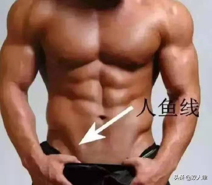 人鱼线是哪里?(人鱼线怎么锻炼?)-第1张图片 人鱼线是哪里?(人鱼线怎么锻炼?)-第1张图片