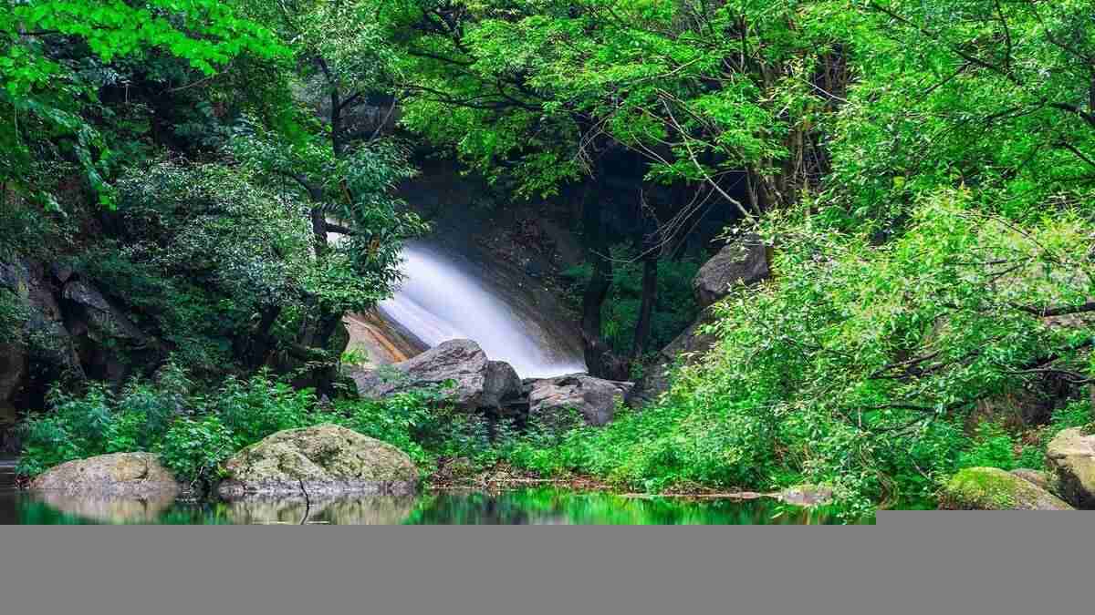 泡茶专用水（什么样的水泡茶最好？）-第5张图片