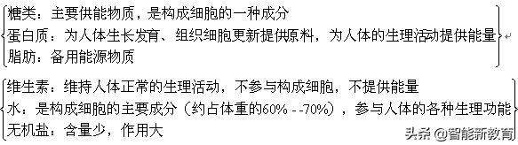 七年级下册生物复习（七年级下册生物期末考试复习提纲）-第2张图片