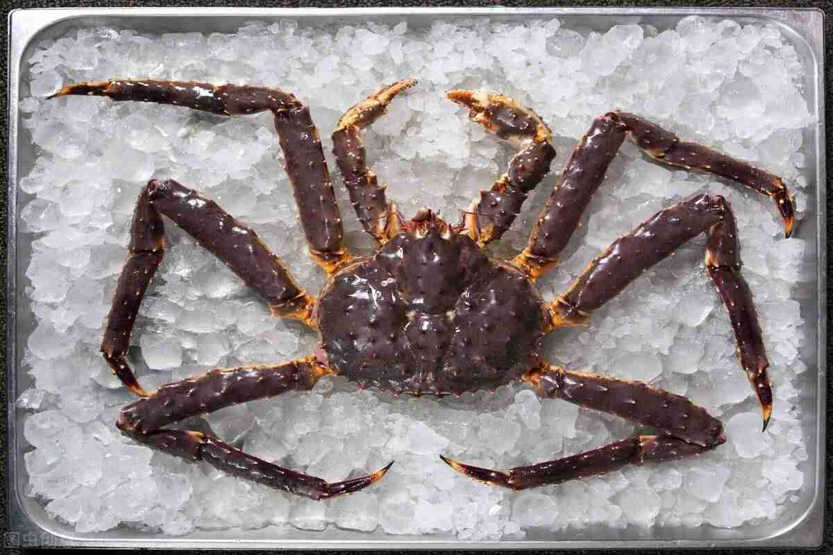 世界上最大的螃蟹王（世界上最大的螃蟹有多大？）-第10张图片