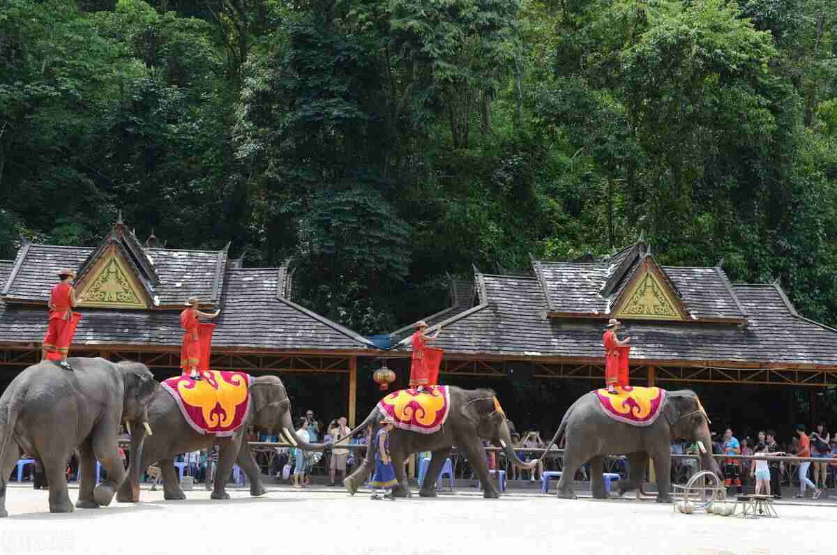 适合带孩子旅游（最适合带孩子旅行的8个地方）-第21张图片