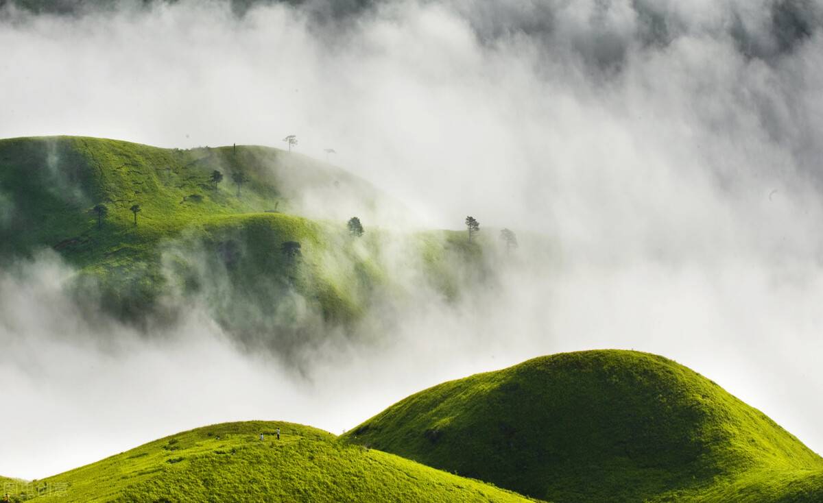 江西旅游景点介绍（江西旅游必去的五座山）-第6张图片