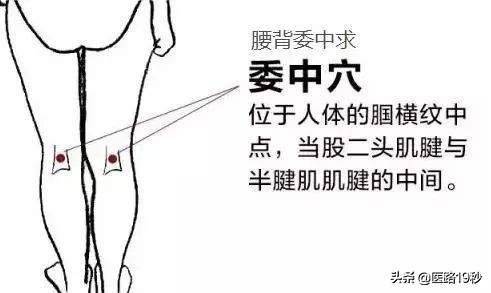 腿抽筋是因为什么原因引起的?(腿总抽筋儿是怎么回事?)-第3张图片 腿抽筋是因为什么原因引起的?(腿总抽筋儿是怎么回事?)-第3张图片