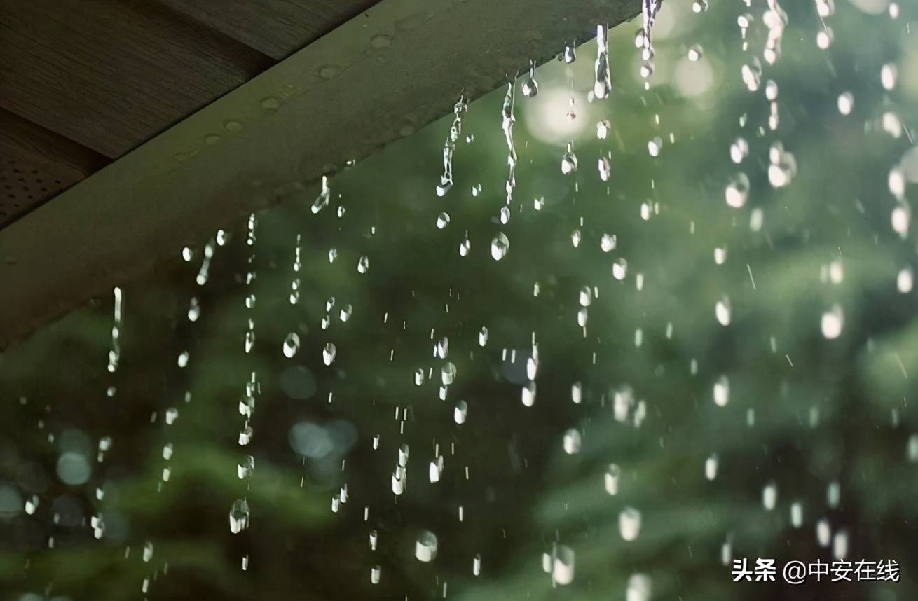 好雨知时节当春乃发生（今日雨水丨好雨知时节 当春乃发生）-第11张图片