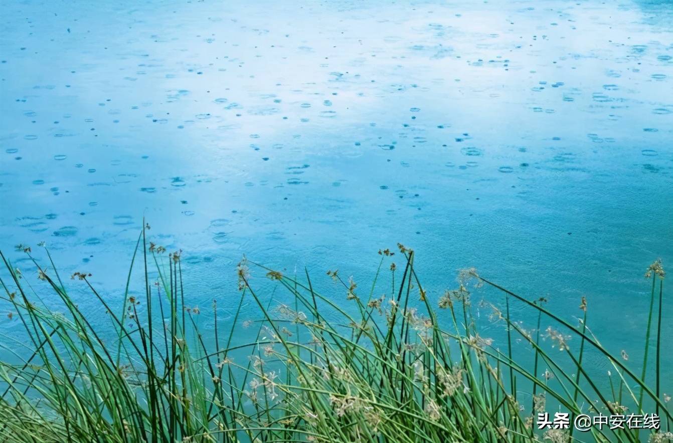 好雨知时节当春乃发生（今日雨水丨好雨知时节 当春乃发生）-第13张图片