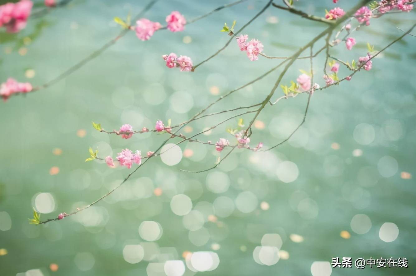 好雨知时节当春乃发生（今日雨水丨好雨知时节 当春乃发生）-第14张图片