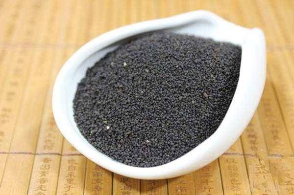 什么是虫茶(什么是虫茶,你敢喝吗?)-第1张图片 什么是虫茶(什么是虫茶,你敢喝吗?)-第1张图片