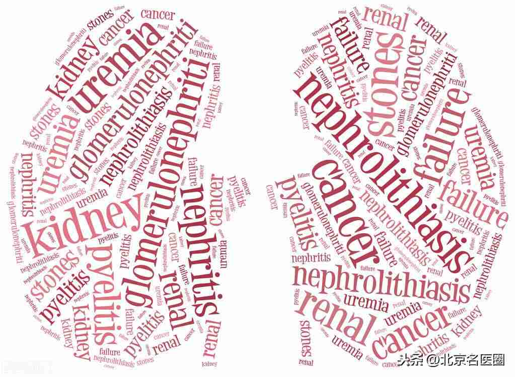 中医治疗尿毒症（从医40余载的老中医谈尿毒症）-第2张图片