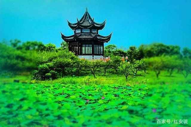 奉贤海湾森林公园（上海海湾国家森林公园）-第3张图片