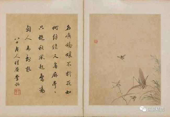 清初四僧（清初四僧与新安画派作品）-第7张图片