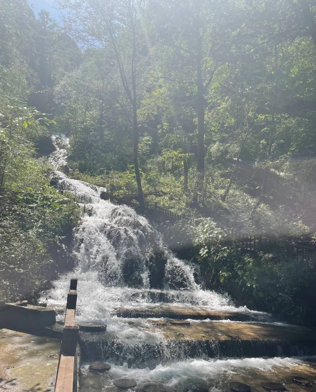 洛阳自驾游（假期洛阳旅游攻略）-第4张图片