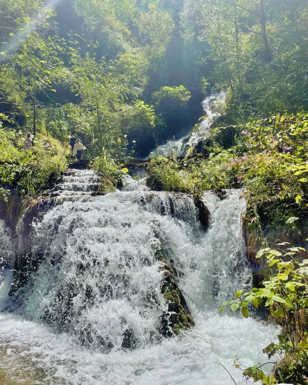 洛阳自驾游（假期洛阳旅游攻略）-第5张图片