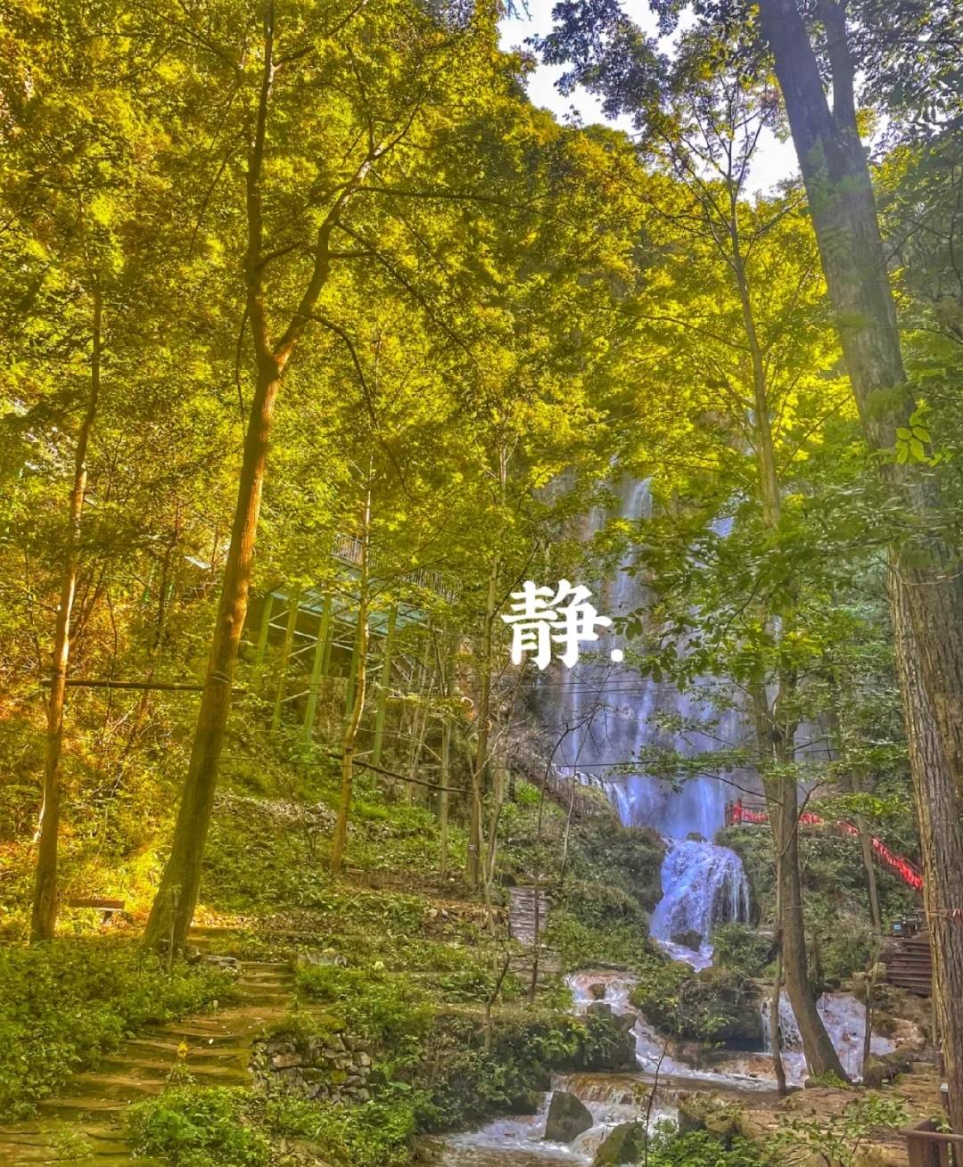 洛阳自驾游（假期洛阳旅游攻略）-第10张图片