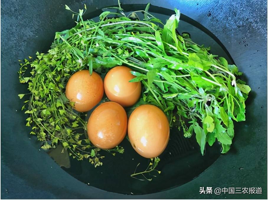 三月三是哪个民族的节日（农历三月三到底是啥节日？）-第2张图片