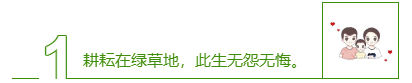 孩子学习不主动怎么办（如何让孩子主动学习？）-第2张图片