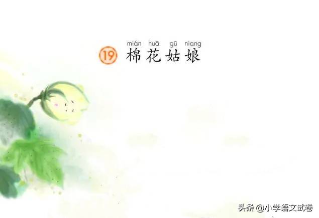 棉花姑娘教学反思（棉花姑娘教材解析）-第1张图片