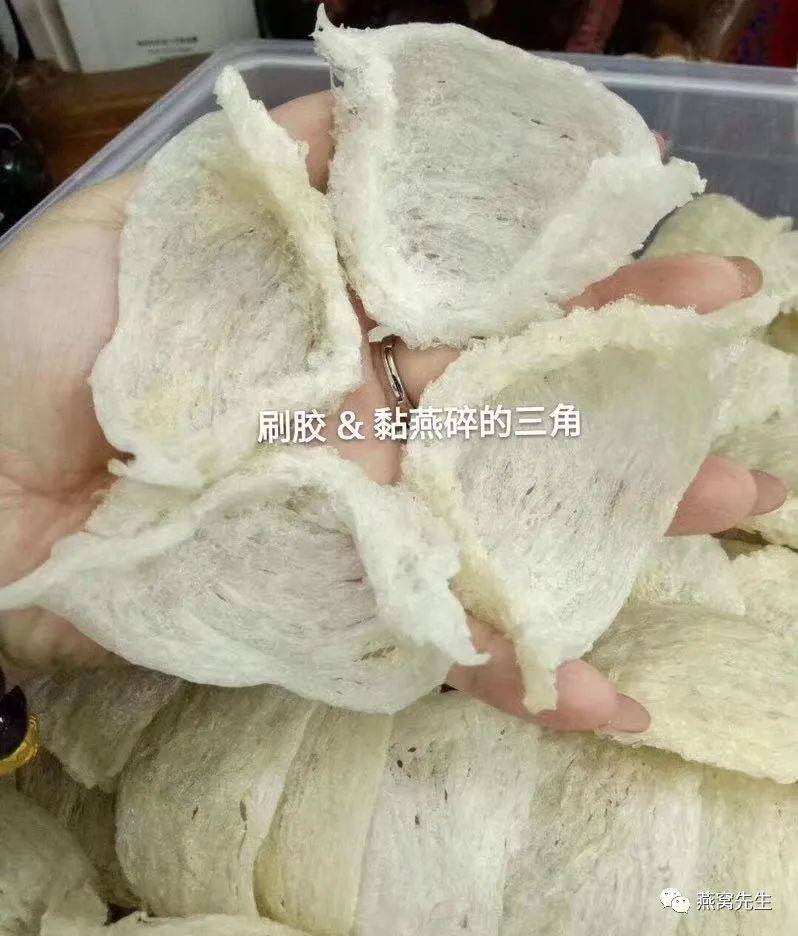 燕窝泡多久(假燕窝泡发后样子(图))-第2张图片 燕窝泡多久(假燕窝泡发后样子(图))-第2张图片