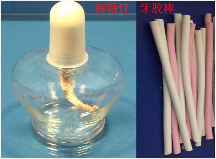 根管治疗需要多久(一颗牙齿根管治疗需要多长时间)-第5张图片 根管治疗需要多久(一颗牙齿根管治疗需要多长时间)-第5张图片