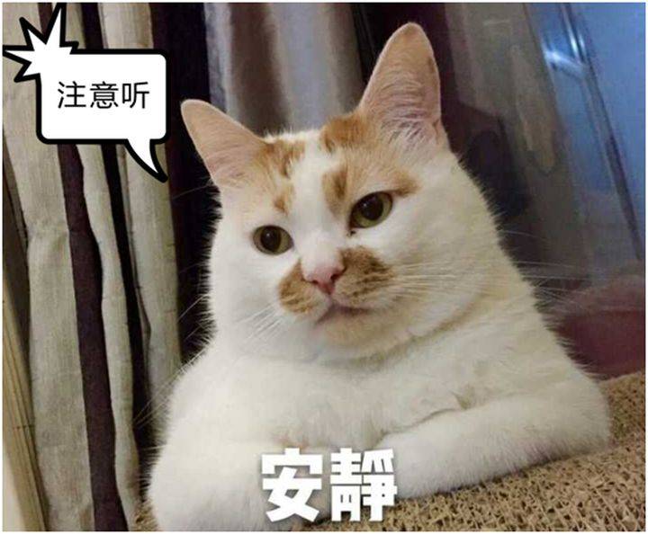 根管治疗需要多久(一颗牙齿根管治疗需要多长时间)-第19张图片 根管治疗需要多久(一颗牙齿根管治疗需要多长时间)-第19张图片