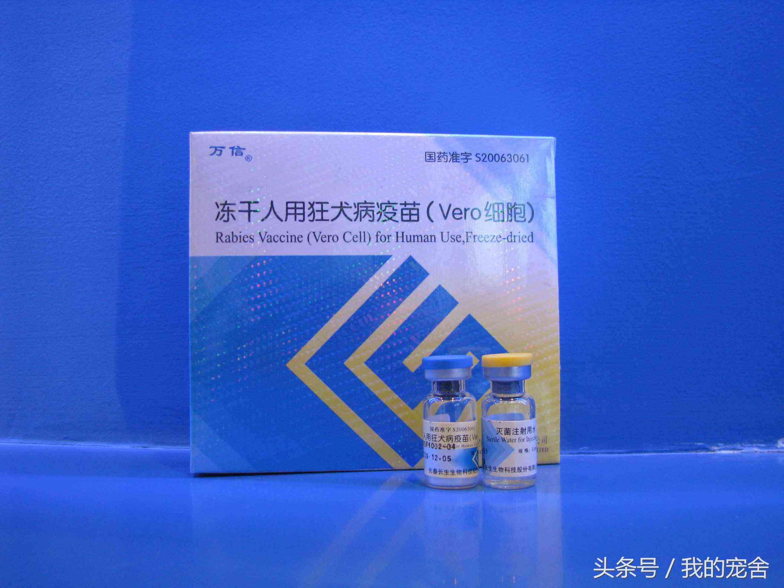 有狂犬病的狗能活多久(恐狂强迫症担心狗咬没感觉)-第4张图片 有狂犬病的狗能活多久(恐狂强迫症担心狗咬没感觉)-第4张图片