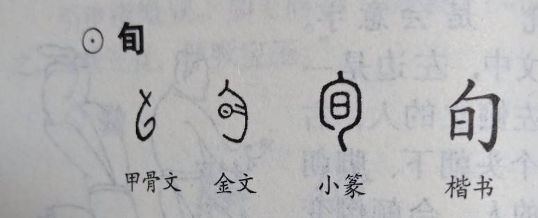 一旬是多久(旬大还是年大)-第2张图片 一旬是多久(旬大还是年大)-第2张图片