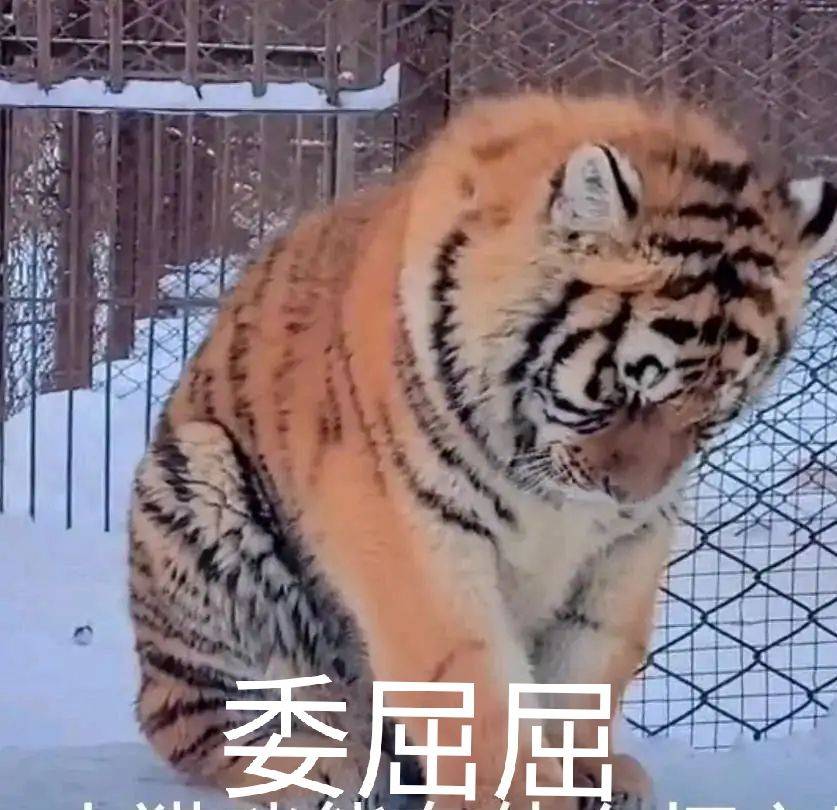 剑三重置身份证要多久(剑三重置身份证进度查询)-第4张图片 剑三重置身份证要多久(剑三重置身份证进度查询)-第4张图片