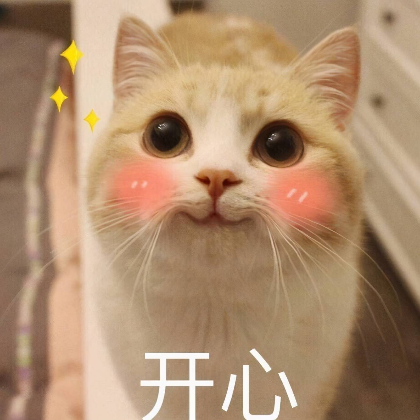 剑三重置身份证要多久(剑三重置身份证进度查询)-第7张图片 剑三重置身份证要多久(剑三重置身份证进度查询)-第7张图片