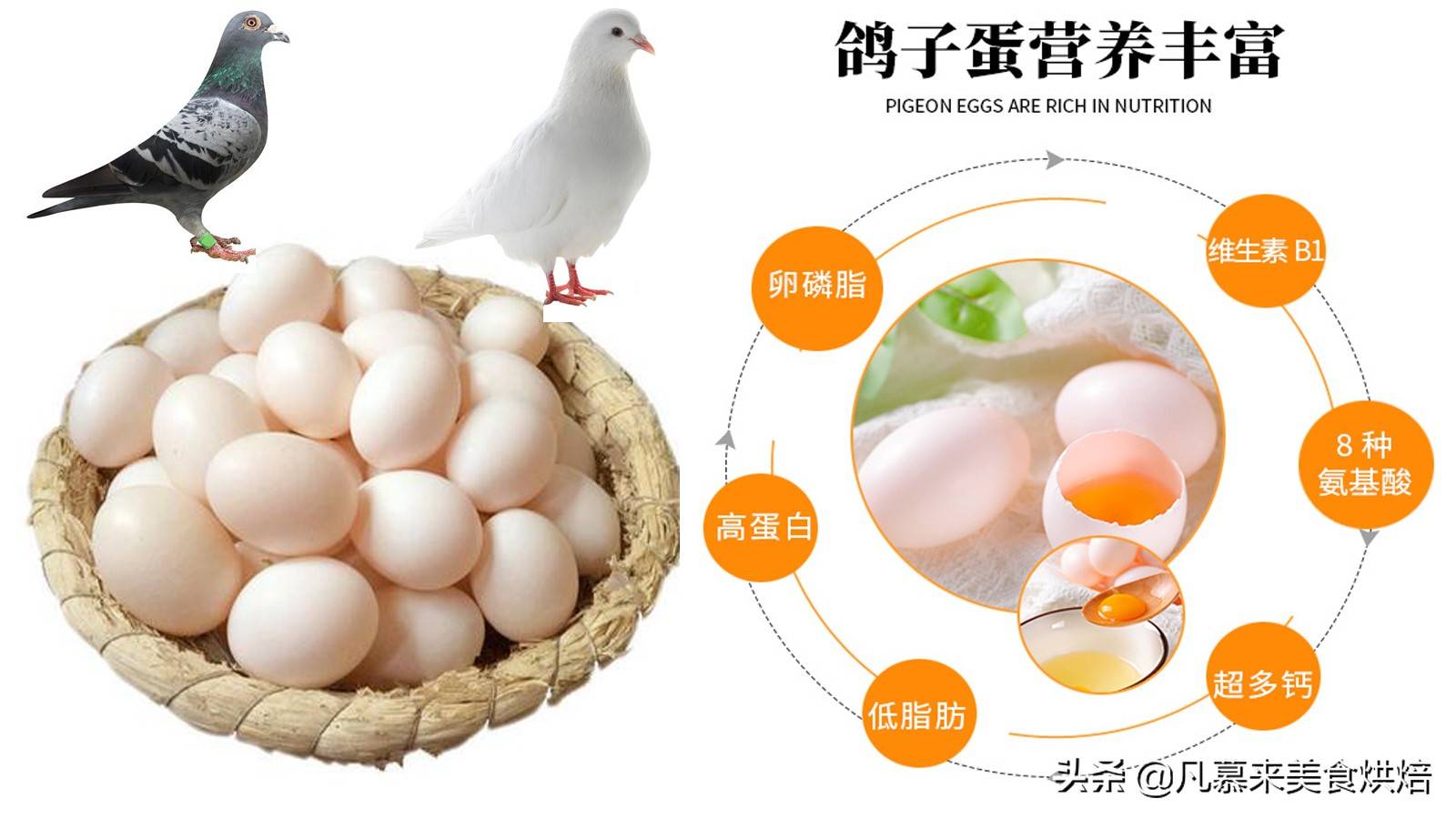 鸽子蛋煮多久才能熟(水煮鸽子蛋几分钟最好)-第1张图片 鸽子蛋煮多久才能熟(水煮鸽子蛋几分钟最好)-第1张图片