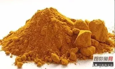 鱼缸下黄粉后多久换水(鱼缸放入黄粉后多久换水)-第1张图片 鱼缸下黄粉后多久换水(鱼缸放入黄粉后多久换水)-第1张图片