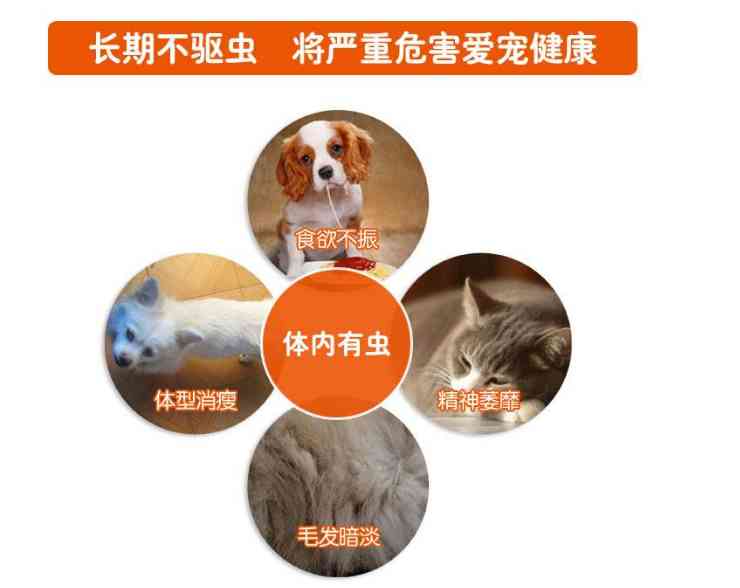 体外驱虫多久一次(体外驱虫后虫子死哪里)-第2张图片 体外驱虫多久一次(体外驱虫后虫子死哪里)-第2张图片