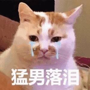 电信卡停机多久被注销(电信停复机多久之后销号)-第2张图片 电信卡停机多久被注销(电信停复机多久之后销号)-第2张图片