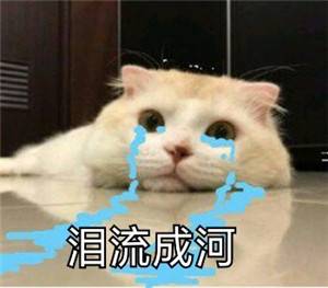 电信卡停机多久被注销(电信停复机多久之后销号)-第7张图片 电信卡停机多久被注销(电信停复机多久之后销号)-第7张图片