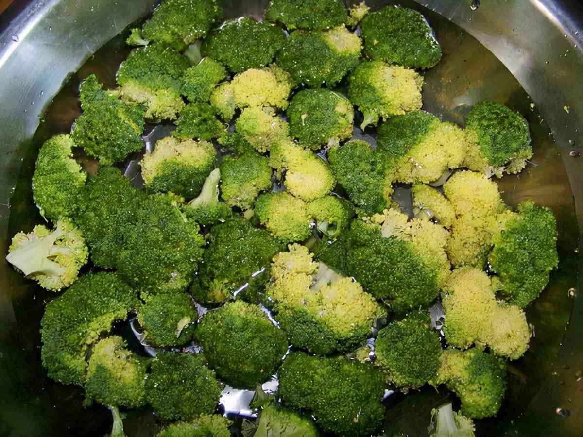 西兰花焯水多久(藕和西兰花可以一起炒吗)-第2张图片 西兰花焯水多久(藕和西兰花可以一起炒吗)-第2张图片