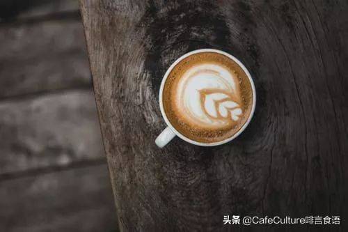 咖啡保质期一般多久(咖啡过保质期还能喝吗)-第11张图片 咖啡保质期一般多久(咖啡过保质期还能喝吗)-第11张图片