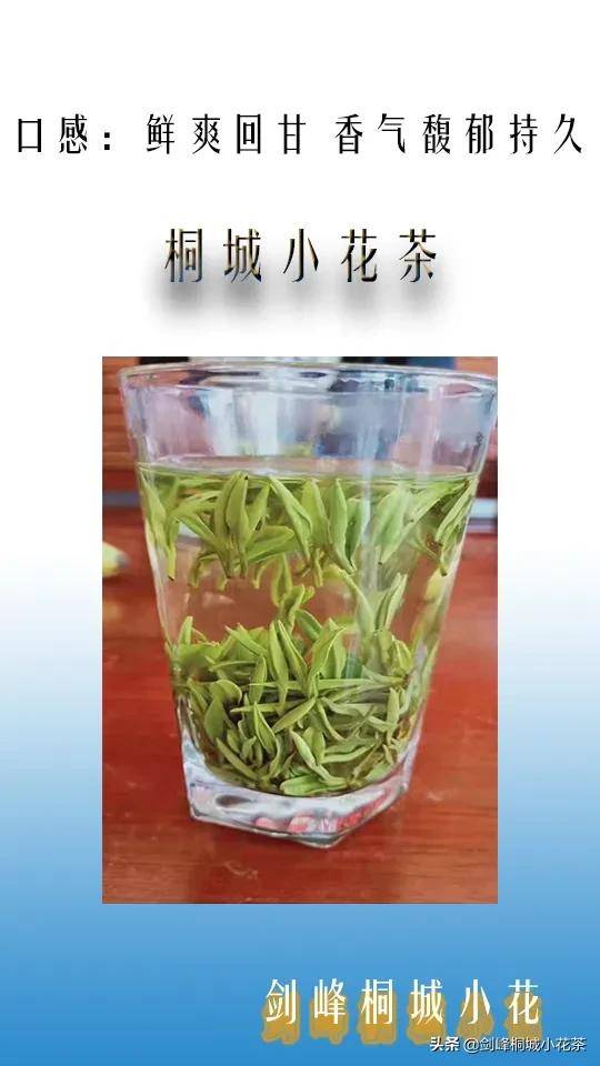 绿茶泡多久(绿茶可以一直泡在杯子里吗)-第1张图片 绿茶泡多久(绿茶可以一直泡在杯子里吗)-第1张图片