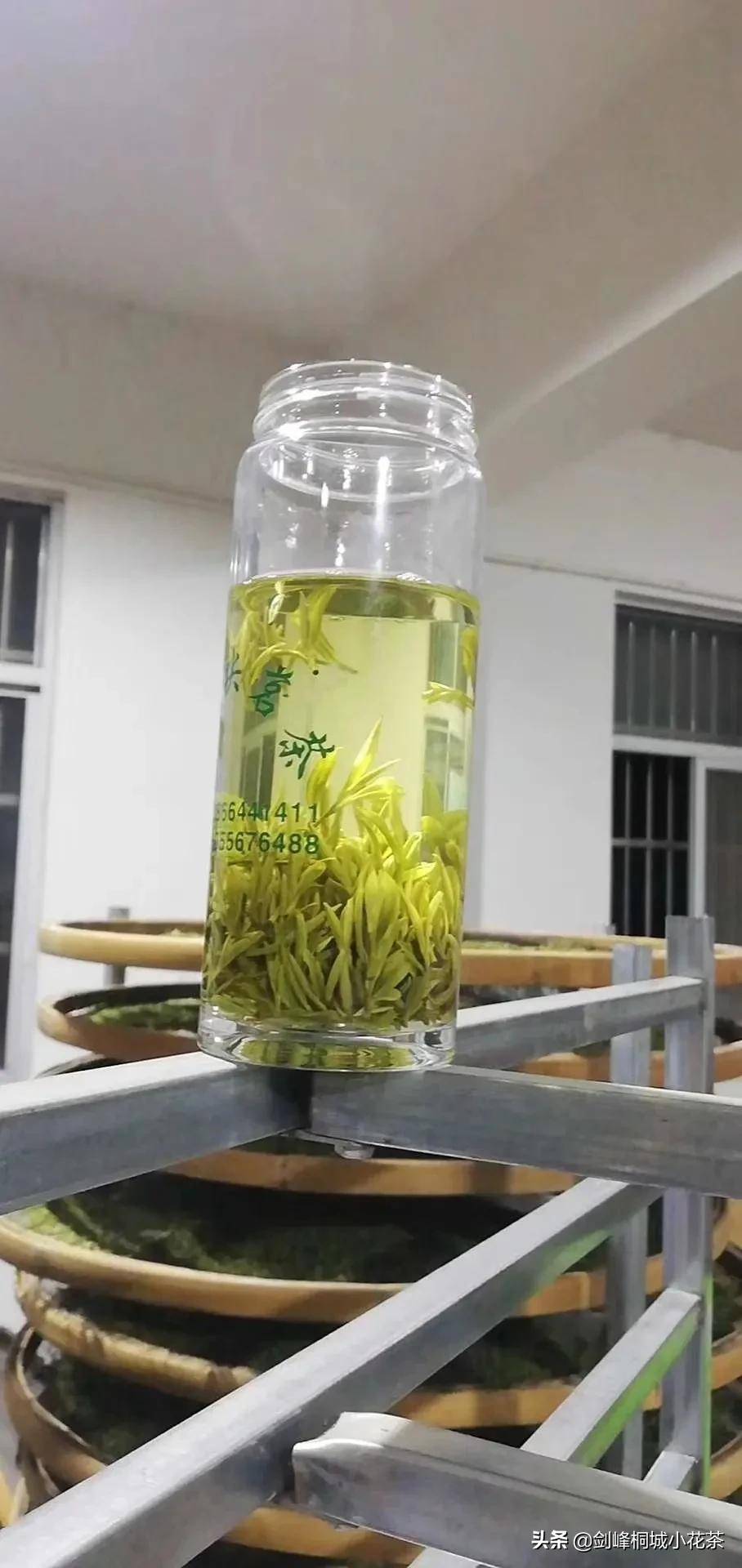 绿茶泡多久(绿茶可以一直泡在杯子里吗)-第6张图片 绿茶泡多久(绿茶可以一直泡在杯子里吗)-第6张图片