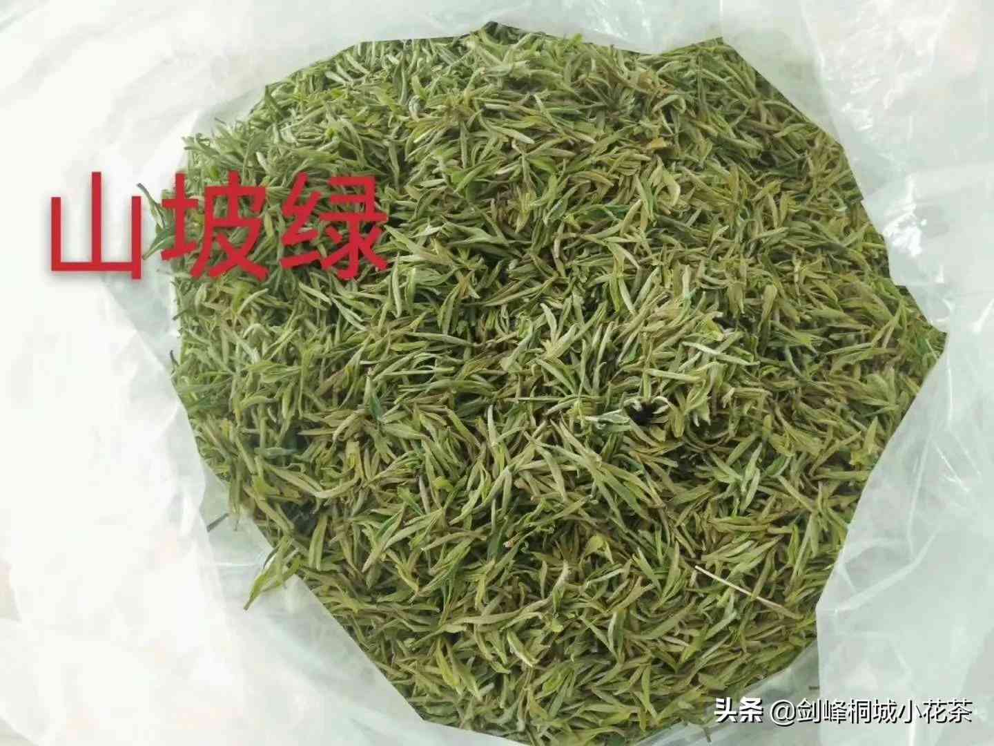 绿茶泡多久(绿茶可以一直泡在杯子里吗)-第7张图片