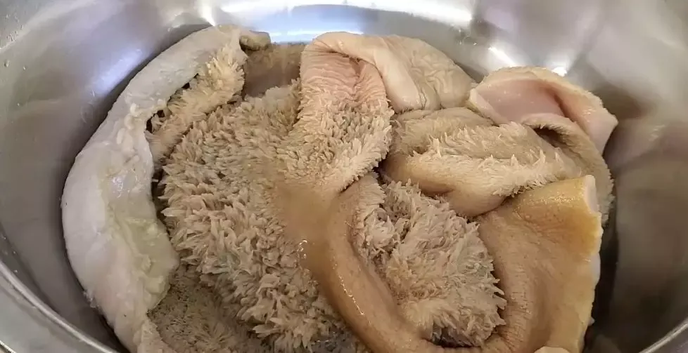 牛肚煮多久能熟(牛肚要煮多久才烂)-第3张图片 牛肚煮多久能熟(牛肚要煮多久才烂)-第3张图片