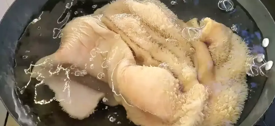 牛肚煮多久能熟(牛肚要煮多久才烂)-第4张图片 牛肚煮多久能熟(牛肚要煮多久才烂)-第4张图片