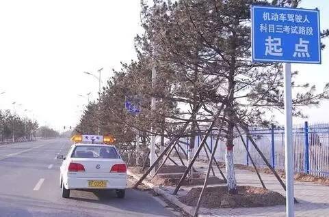 科目三学多久(科目三最快几天学完)-第9张图片 科目三学多久(科目三最快几天学完)-第9张图片