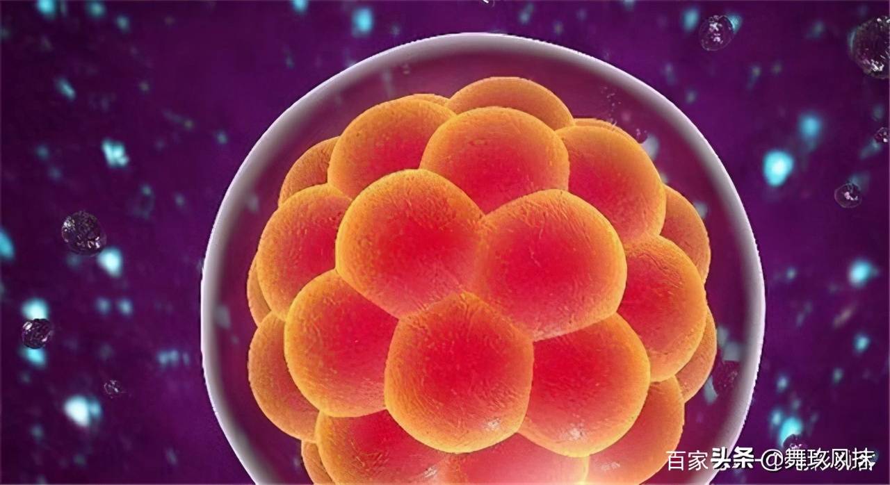 怀孕多久可以看到孕囊(怀孕30天孕囊大小图片)-第4张图片 怀孕多久可以看到孕囊(怀孕30天孕囊大小图片)-第4张图片