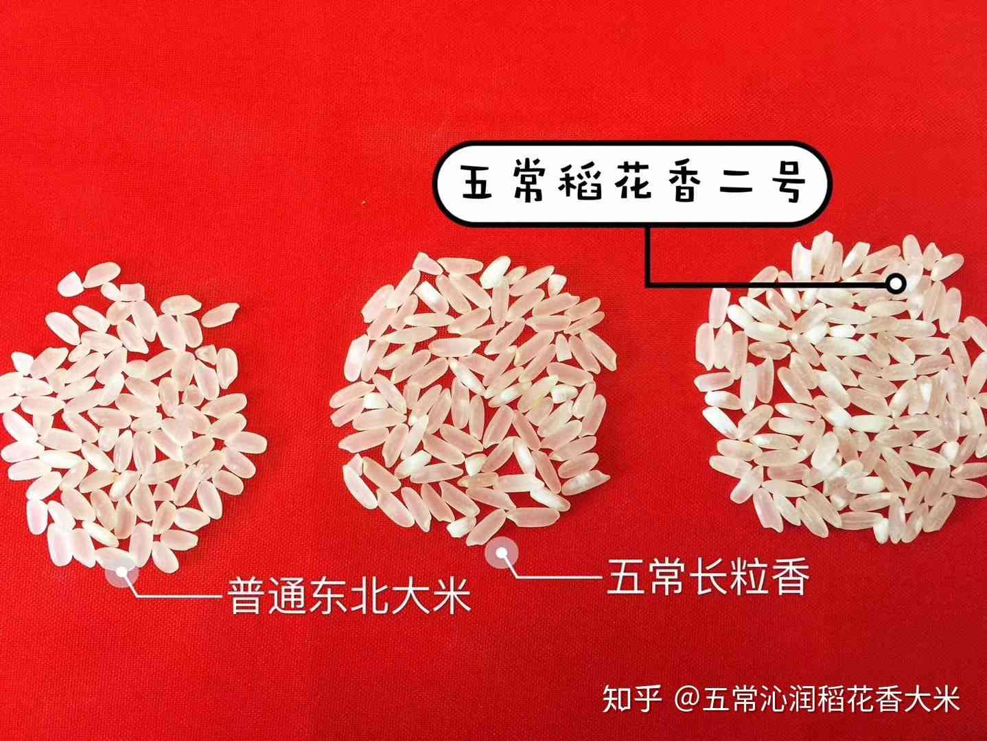 大米保质期一般是多久(大米保质期长好还是短好)-第1张图片 大米保质期一般是多久(大米保质期长好还是短好)-第1张图片
