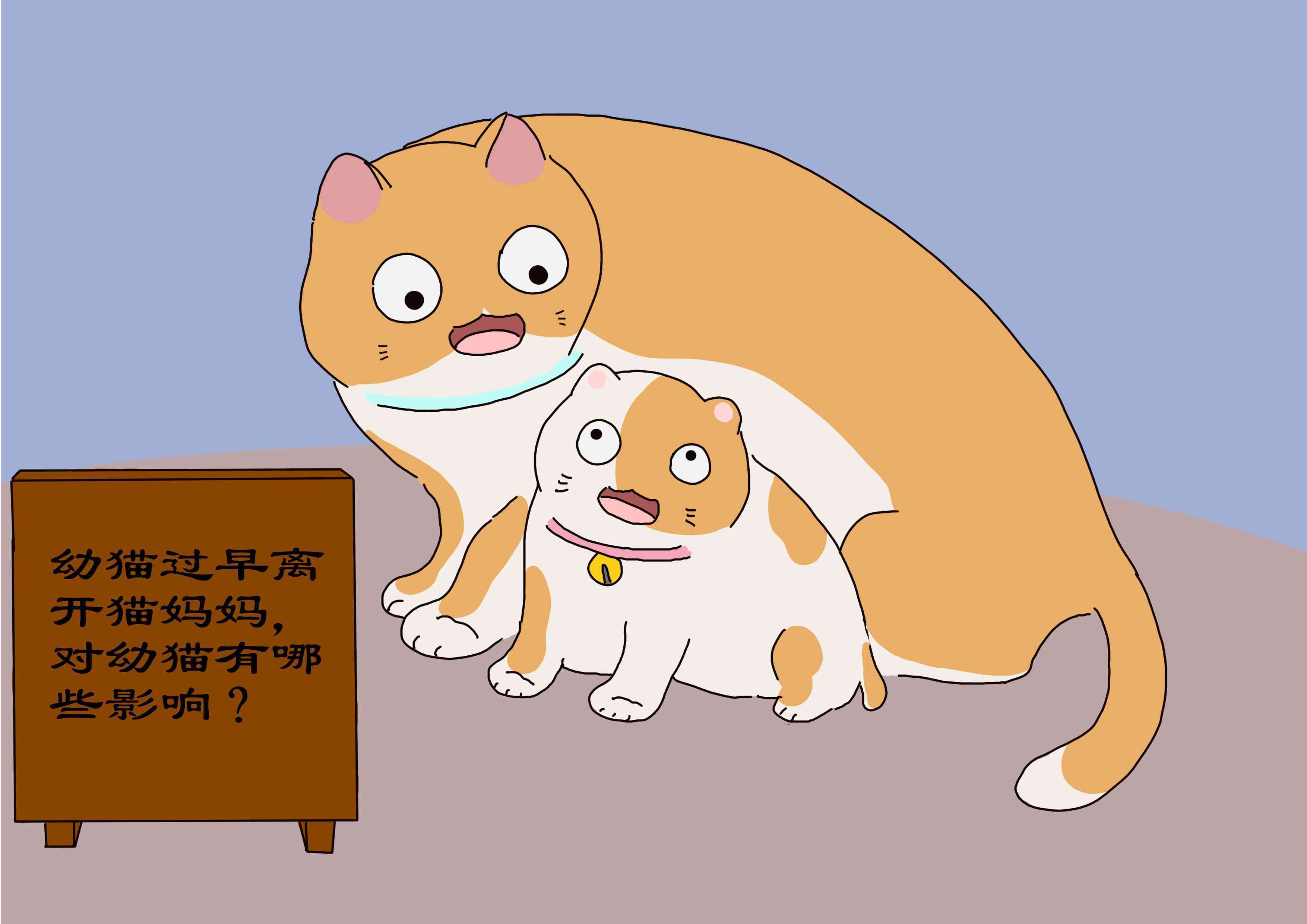 小猫多久可以离开母猫(母猫什么情况下会扔了小猫)-第1张图片 小猫多久可以离开母猫(母猫什么情况下会扔了小猫)-第1张图片