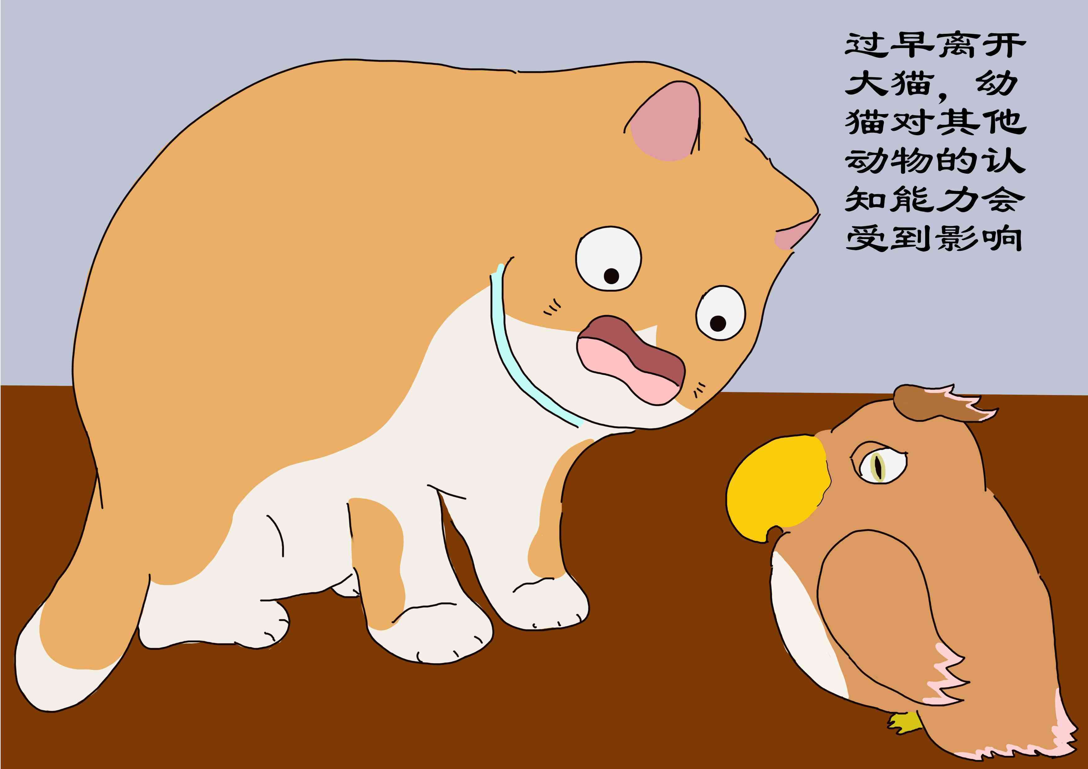 小猫多久可以离开母猫(母猫什么情况下会扔了小猫)-第3张图片 小猫多久可以离开母猫(母猫什么情况下会扔了小猫)-第3张图片