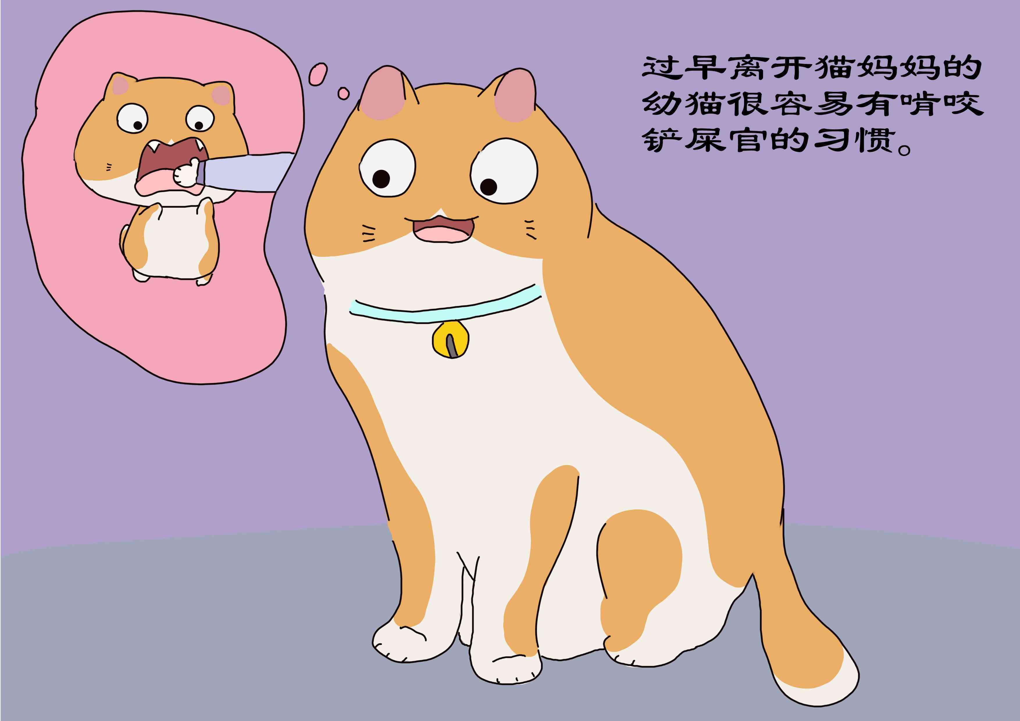 小猫多久可以离开母猫(母猫什么情况下会扔了小猫)-第5张图片 小猫多久可以离开母猫(母猫什么情况下会扔了小猫)-第5张图片