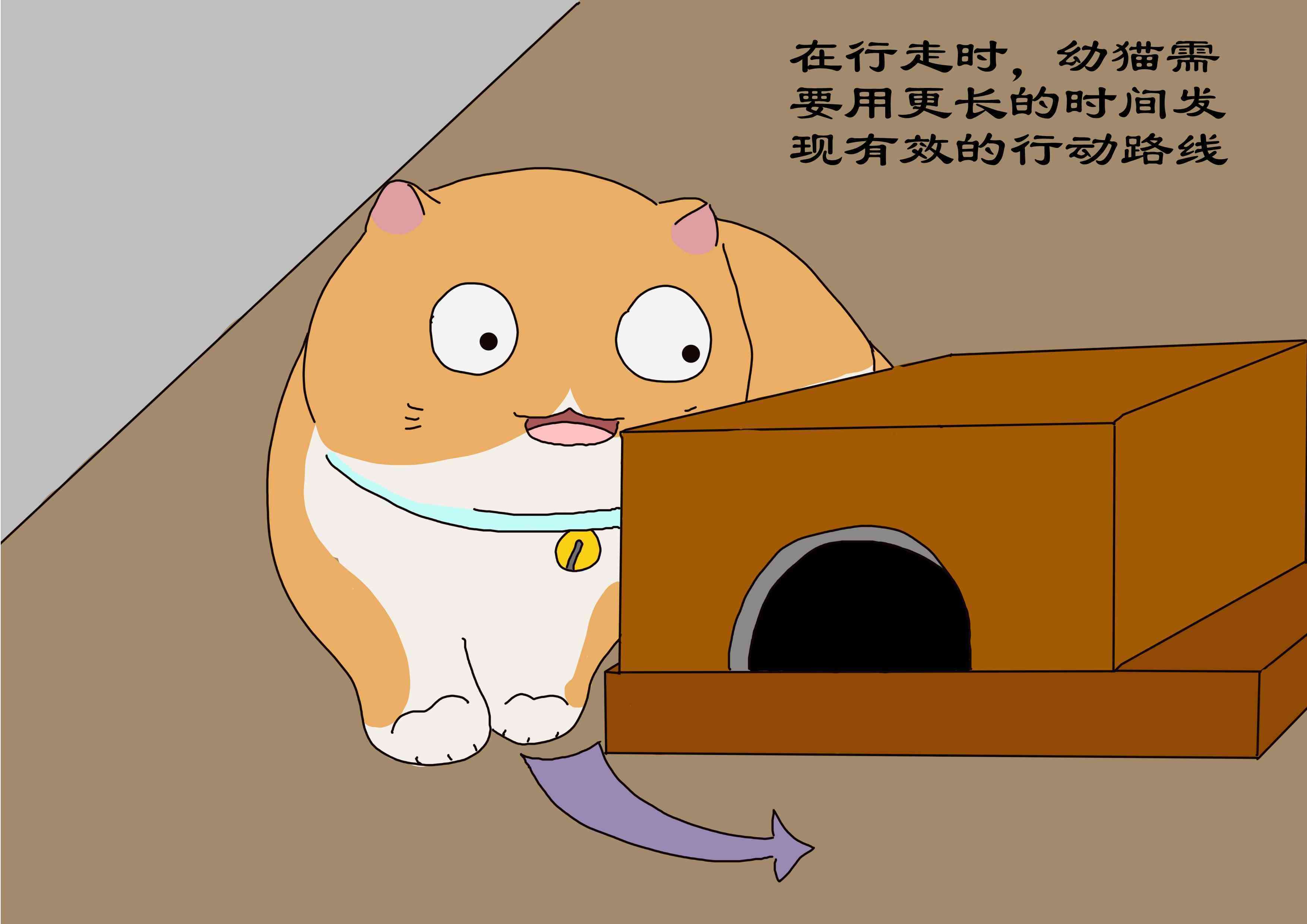 小猫多久可以离开母猫(母猫什么情况下会扔了小猫)-第6张图片 小猫多久可以离开母猫(母猫什么情况下会扔了小猫)-第6张图片