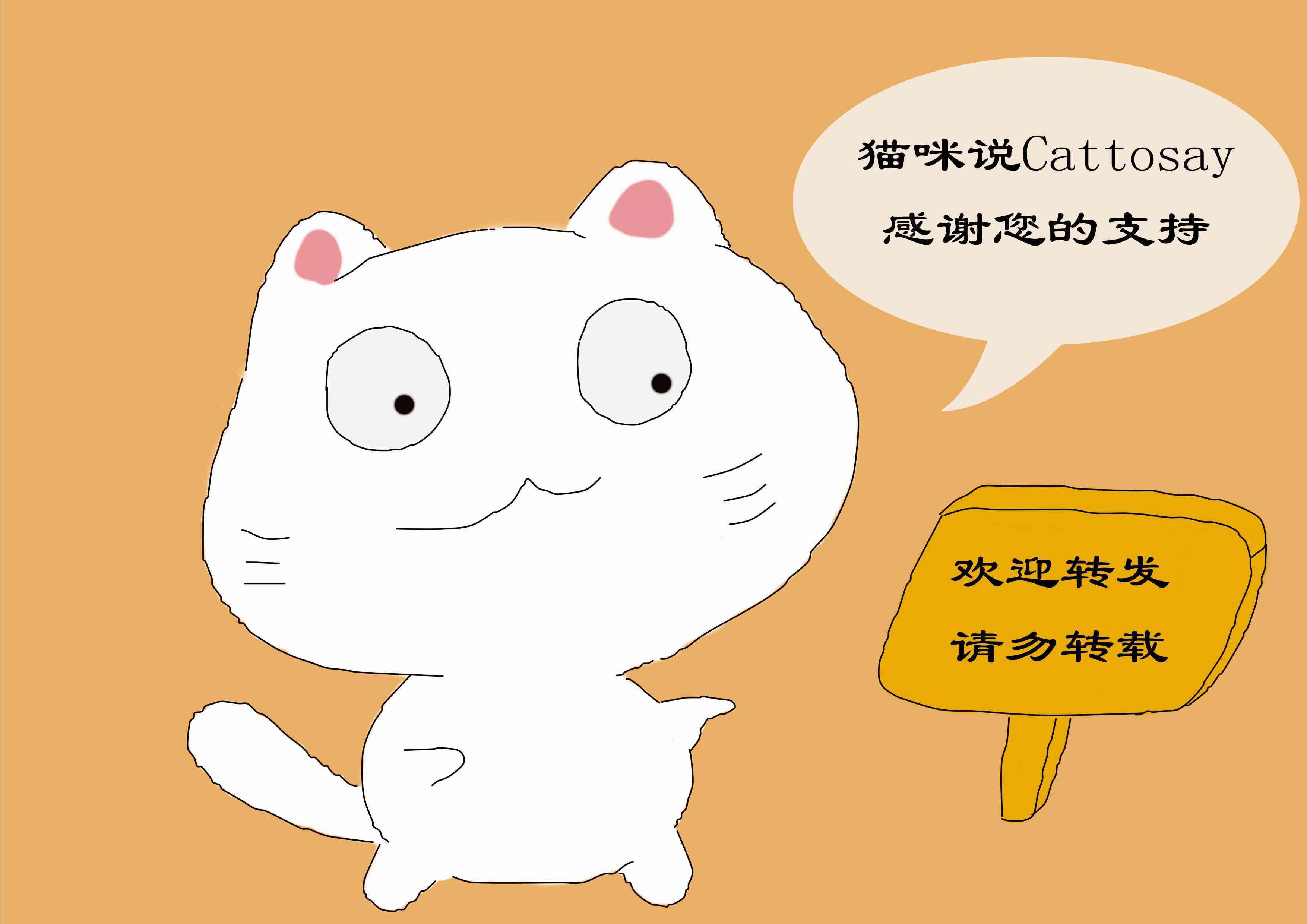 小猫多久可以离开母猫(母猫什么情况下会扔了小猫)-第8张图片 小猫多久可以离开母猫(母猫什么情况下会扔了小猫)-第8张图片