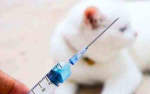 韩国72人接种流感疫苗后死亡-接种流感疫苗后死亡-第3张图片
