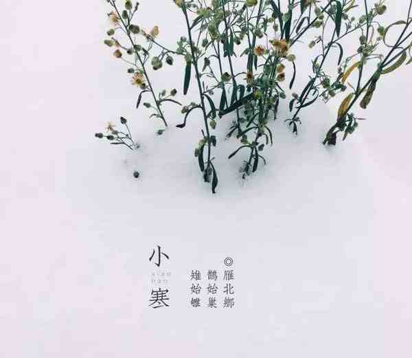 小寒节气可以结婚吗-小寒节气能结婚吗-第1张图片